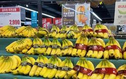 Công ty con của HAGL chốt thời gian IPO 18,8 triệu cổ phiếu