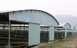 Đấu giá, thu hồi nợ 'siêu dự án' chăn nuôi bò ở Hà Tĩnh