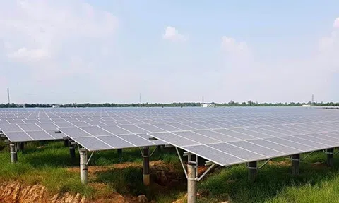 Nhiều "đại gia" Trung Quốc vào Việt Nam làm pin năng lượng mặt trời