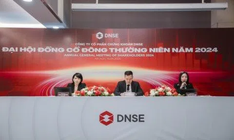 Quý 1/2024, DNSE tăng 40% số lượng chứng khoán quản lý