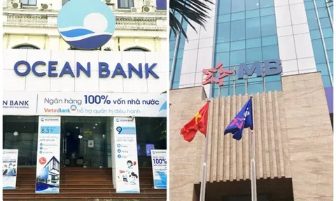 MB cử ông Lê Xuân Vũ làm người đại diện tại OceanBank, sẽ ưu tiên nguồn lực để hỗ trợ thành viên mới