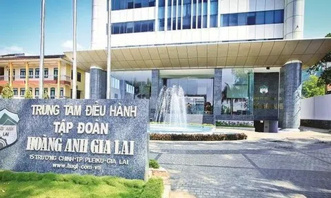 Hoàng Anh Gia Lai hiện ra sao?