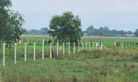 TPHCM: Nhà đầu tư nghe ngóng tác động từ bảng giá đất mới