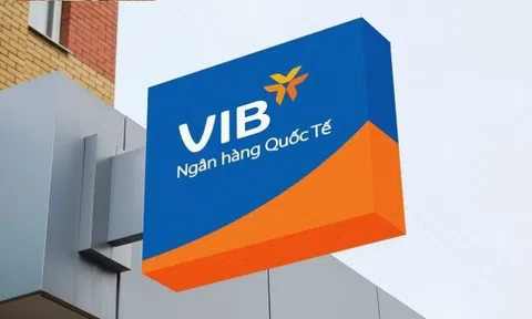 Một doanh nghiệp buôn thực phẩm vừa chi hàng trăm tỷ mua cổ phần ngân hàng VIB