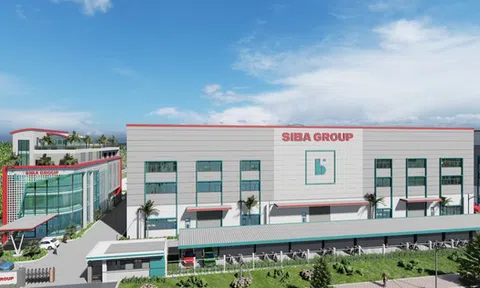 Siba Group phân phối gần 2 triệu cổ phiếu 'ế' cho 3 cá nhân