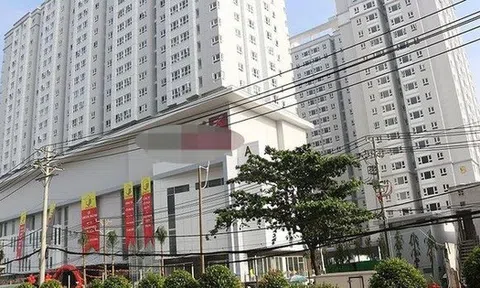 Công ty có 55 tỷ tiền mặt nhưng nợ tới hơn 400 tỷ, tính mua doanh nghiệp 170 tỷ