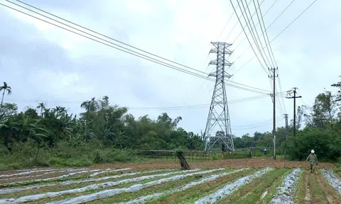 Quảng Nam: Dự án đường dây 110kV gần 226 tỷ đồng đóng điện sau hơn 4 năm thi công