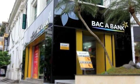 Con gái Chủ tịch BacABank bất ngờ muốn thoái toàn bộ vốn