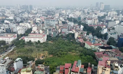 Cỏ dại mọc um tùm như 'rừng' trong khu đất vàng mà Hà Nội loại bỏ làm nhà ở