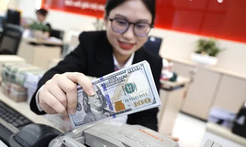 Giá USD lao dốc, dự báo mới nhất về tỉ giá tại Việt Nam