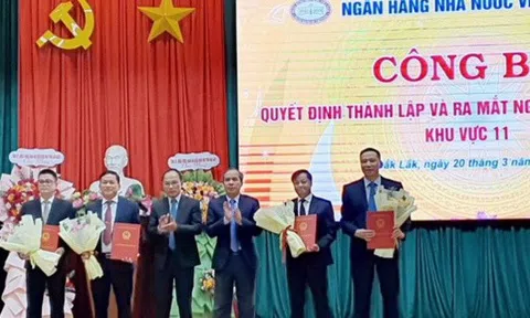 Thành lập Ngân hàng Nhà nước khu vực 11 (Đắk Lắk, Kon Tum, Gia Lai, Đắk Nông, Lâm Đồng), ông Nguyễn Kim Cương làm Quyền Giám đốc