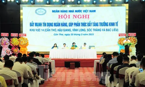 Có doanh nghiệp phải vay ngoài để trả nợ ngân hàng