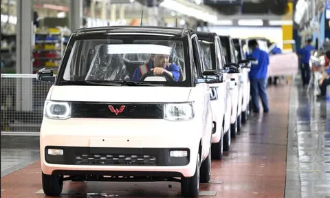 Cổ phiếu nhà phân phối xe điện Wuling Mini 'cháy hàng' nhờ thoát lỗ