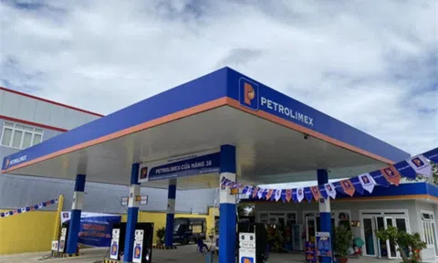Petrolimex (PLX) báo lãi sụt giảm 81%, đang có hơn tỷ USD đem gửi ngân hàng và “rót” vào trái phiếu