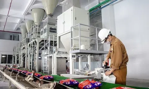 Hóa chất Đức Giang ‘rót’ thêm 500 tỷ đồng vào công ty con kinh doanh bất động sản