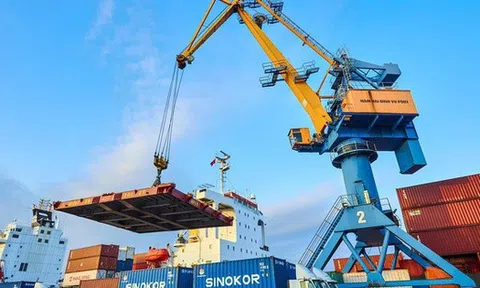 Nhóm Viconship nâng sở hữu lên 11,6% vốn Xếp dỡ Hải An