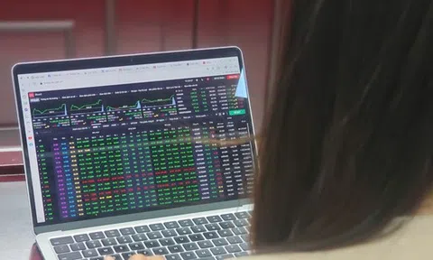 Người phụ nữ nợ nần chồng chất nhưng không thể dừng 'đầu tư': Tiết lộ nguyên nhân đằng sau