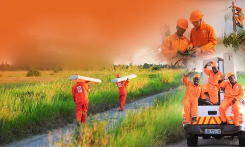 Công ty 220.000 tỷ của Việt Nam tăng trưởng ngoạn mục: Điều gì làm nên kỳ tích?