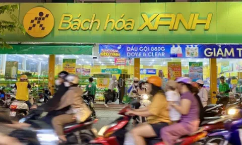 CEO Bách Hóa Xanh muốn 'chốt lời' 200.000 cổ phiếu Thế Giới Di Động