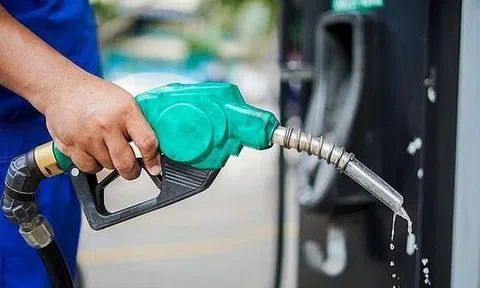 Một doanh nghiệp xăng dầu chuẩn bị trả cổ tức "khủng" bằng tiền mặt, cổ phiếu neo đỉnh lịch sử