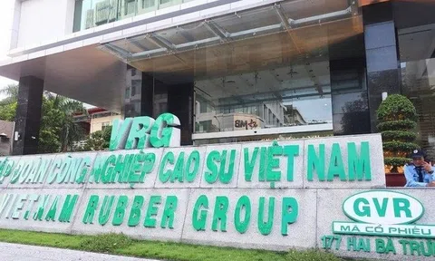 Tập đoàn Cao su (GVR) muốn nâng cổ tức tiền mặt lên 1.600 tỷ