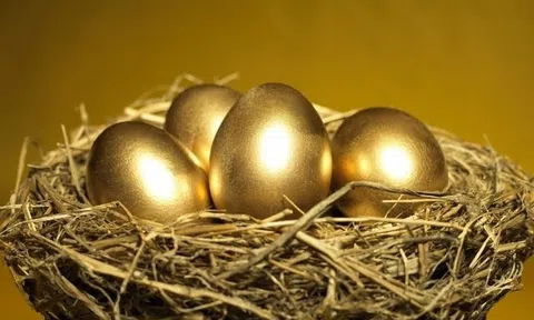 Một doanh nghiệp hàng không muốn dốc hầu bao trả cổ tức 80% bằng tiền mặt