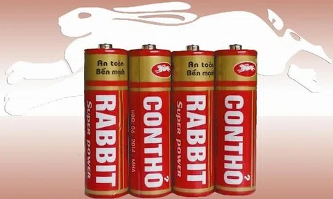 Chủ thương hiệu Pin Con Thỏ chuẩn bị trả cổ tức lớn