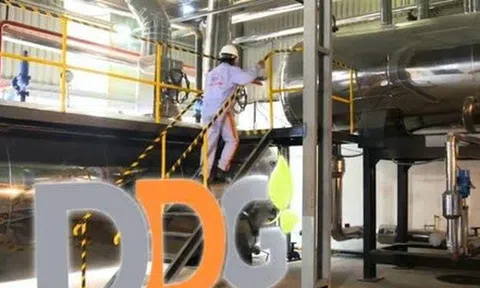 Xuất nhập khẩu Đông Dương ‘khất nợ’ hơn 380 tỷ đồng gốc, lãi trái phiếu