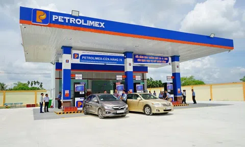 Doanh nghiệp Nhà nước sắp chi 1.500 tỷ trả cổ tức sau khi miễn nhiệm Tổng Giám đốc