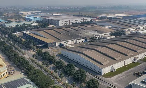 Công ty CP Tập đoàn Tân Mai và 4 doanh nghiệp ngừng sản xuất, tháo dỡ công trình, trả lại mặt bằng cho Nhà nước