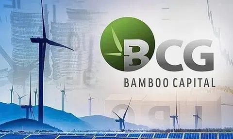 Bamboo Capital bổ nhiệm nhân sự 30 tuổi phụ trách quản trị