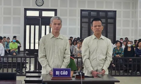 Nâng vốn ảo, "nổ" sắp niêm yết sàn chứng khoán và lừa gần 40 tỷ, Tổng giám đốc công ty bán rau nhận án tù chung thân