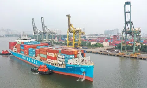 DN sở hữu đội tàu Container lớn nhất Việt Nam muốn chia cổ tức tổng tỷ lệ 40%, cổ phiếu tăng hơn 50% từ đầu năm