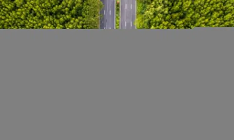 Vingroup có thể khởi công metro Phú Mỹ Hưng - Cần Giờ đầu năm sau