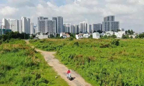 TPHCM quy định thời gian chuyển hồ sơ xác định nghĩa vụ tài chính về đất đai