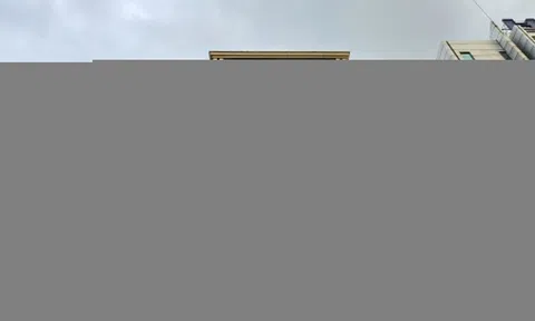 Gia đình ông Bùi Thành Nhơn ròng rã bán cổ phiếu Novaland