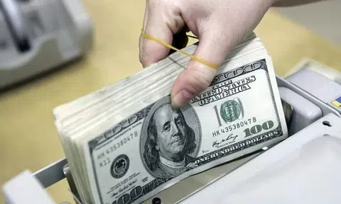 Ngày 12/6: Tỷ giá trung tâm tăng 8 đồng sau hai phiên giảm liên tiếp