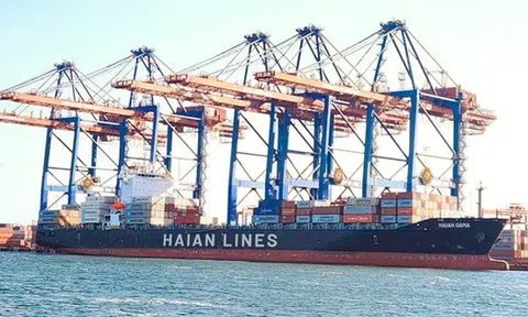 Vận tải và Xếp dỡ Hải An đặt mục tiêu doanh thu 4.556 tỷ đồng trong năm 2025