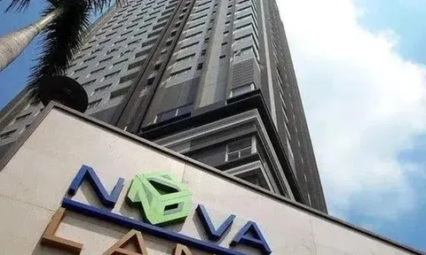 Lý do Novaland triệu tập đại hội cổ đông bất thường