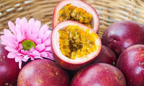 DN Việt xuất khẩu chanh leo số 1 châu Á có thể tăng gấp đôi công suất từ cuối 2025, cổ phiếu neo đỉnh 3 năm
