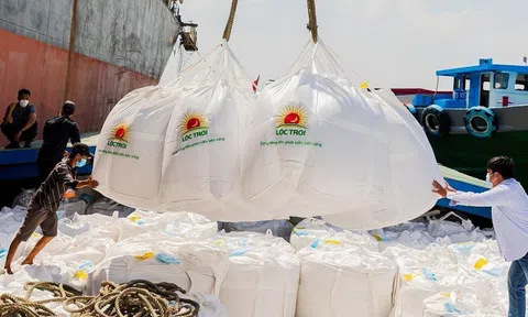 Lộc Trời lên kế hoạch lỗ hơn 500 tỷ đồng