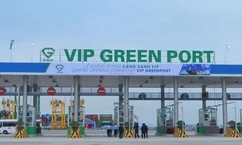 Viconship muốn ‘xả hàng’ hơn 6,3 triệu cổ phiếu Cảng Xanh Vip
