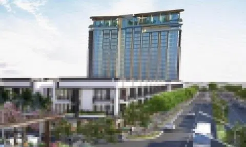 Cổ phiếu từng tăng 700% sau 2 tháng bị xem xét hủy niêm yết bắt buộc