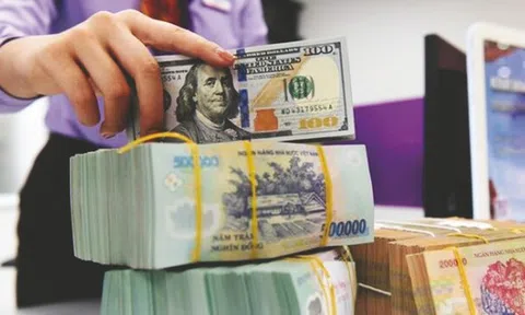 Nhận định mới về tỷ giá: Tâm lý đầu cơ USD ở mức cao, tín hiệu hạ nhiệt sẽ sớm xuất hiện