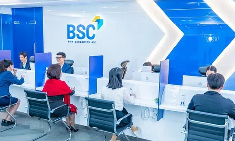 BSC hoàn tất phát hành 22,3 triệu cổ phiếu trả cổ tức