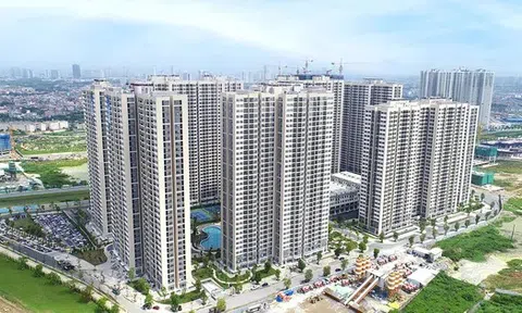 Chung cư quay đầu tăng giá, đất nền chững lại sau tăng 'nóng'