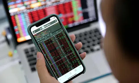 Loạt cổ phiếu vừa nhận 'án' rời sàn