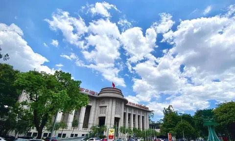 Ngân hàng Nhà nước tổ chức lại hệ thống chi nhánh khu vực theo hướng tinh gọn, hiệu lực, hiệu quả
