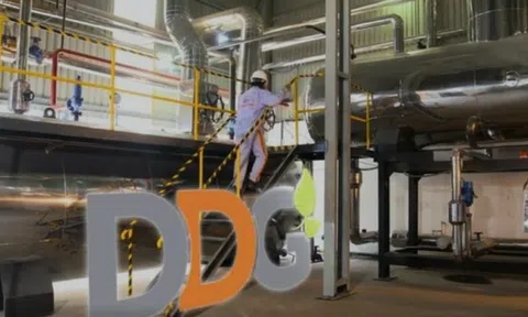 Xuất nhập khẩu Đông Dương (DDG) bị xử phạt nặng vì thông tin sai lệch, không đầy đủ, “ém” thông tin