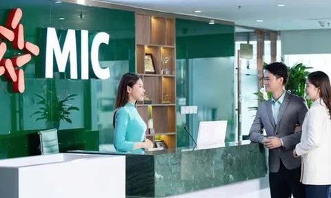 MIC sắp trả cổ tức năm 2024 với tỷ lệ 10%